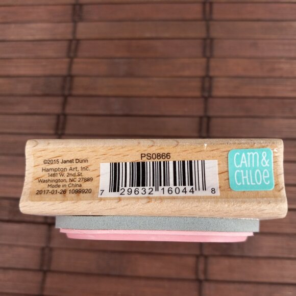 Cam & Chloe Flowers Jar Outline Hampton Art 2015 Janet Dunn Rubber Stamp PS0866 - Picture 3 of 3